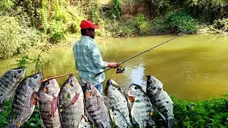 Best Bait For Tilapia | Best Hook Size For Tilapia 