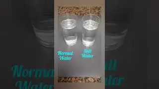 water density experiments with lemon.