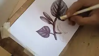 Come and draw with me! Drawing with just a pen (no music, no talking)