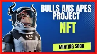 Bulls And Apes Project NFT - Upcoming 3D NFT Of 2024