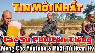Các Sư Phụ Thầy Minh Tuệ Cùng Lên Tiếng Về Việc Này Mong Các Youtube & Phật Tử Hoan Hỷ, Tin Mới Nhất