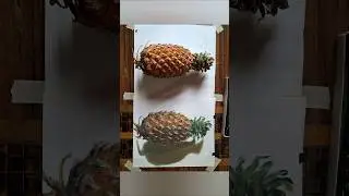Realistic pineapple drawing |Realistic fruit drawing |🍍|#artbox #art #shorts #youtubeshorts #drawing