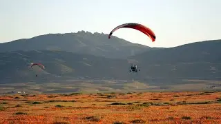 Antelope Valley California Poppy Reserve / Walk, Drive/April 2023