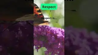 Personal development - Respect - Stand out as the most knowledgeable in 2024