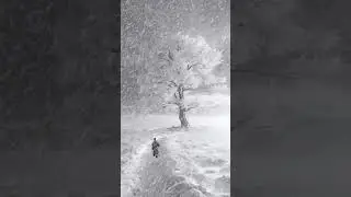 frosty adventure Winter Wonderland: A Lone Figure Amidst the Snowy Wilderness