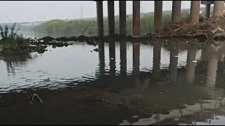 NOYGABO VLOG is live! Thursday morning fishing