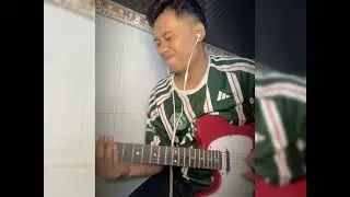 Taylor Swift - The Fate of Ophelia (guitar cover)