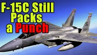 American F-15C vs Multiple Russian Fighters & SAM Systems | DCS World