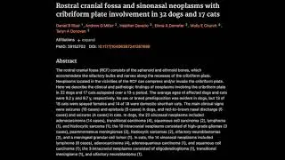 28. Rostral cranial fossa and sinonasal neoplasms with cribriform plate involvement in dogs and cats