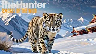 Everything what we know about Snow Leopard