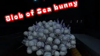 Sea Bunny Duplication Glitch (Patched 💔)
