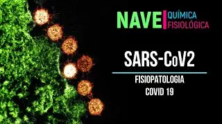 Fisiopatologia COVID-19