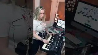 MEGAMAN 2 DR. WILY’S CASTLE (moog cover)
