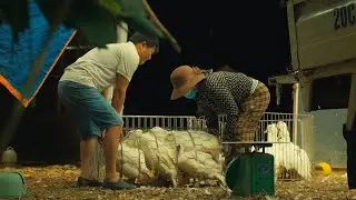 Life Around Ducks &ndash; A Day in Rural Vietnam | Simple Days