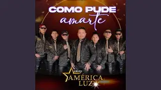 Como Pude Amarte