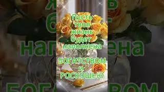 Очень КРАСИВОЕ Поздравление с ДНЁМ РОЖДЕНИЯ!
