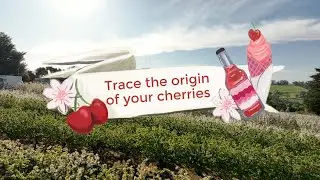 Cherry Traceability Pilot Cherry Hill Orchards - New to Traceability? See what happens here.