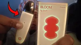 Bloom Forbidden Fruit Surf Review