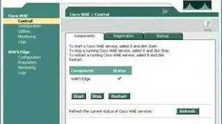 Cisco WAAS - Local File Servers