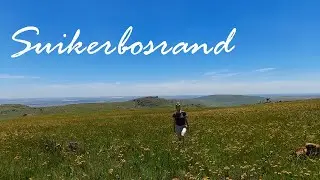 #3. Suikerbosrand Nature Reserve Drive | South Africa