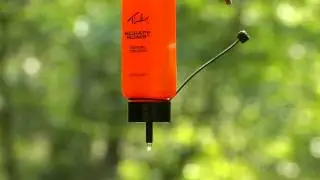 Tink's Scrape Dripper - Pro Tip, Bill Jordan