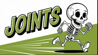 Joints: A Comprehensive Overview (with a Skeleton!)