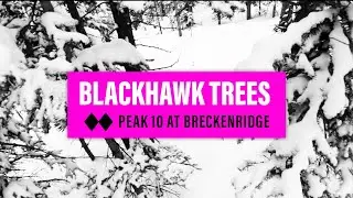 Blackhawk Tree Skiing | Breckenridge, Peak 10 | Double Black Diamond