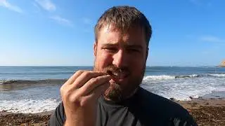 Seaweed Ramen - Foraging, Fishing and Camping at The Coast