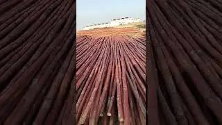 Holl seal delar Rashid ali narowal zafarwal road ghaziwal colony 03156165116