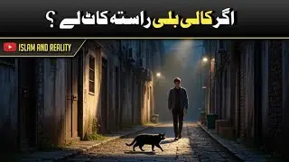  Black Cat Crossing: Myth or Bad Luck?کالی بلی کا راستہ کاٹنا: کیا واقعی بدقسمتی لاتی ہے؟#BlackCat