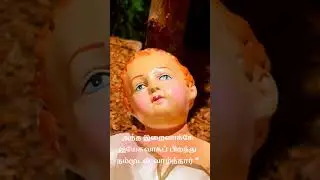 அந்த இறைவாக்கே இயேசுவாகப் பிறந்து நம்முடன் வாழ்ந்தார்