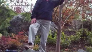 111HK.wmv