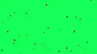 Green screen background Rose pettals effect