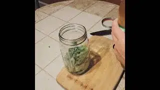 Let's Make Some Alcohol Free Mullein Tincture!