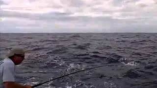 VID-Key Largo Sailfish fighting