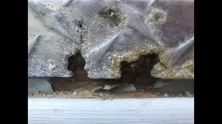 Evidence: Intentional Vandalism to entrance of Nonprofit Building over last month. Sabotage.