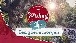 Een goede morgen - Efteling Tips #5