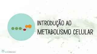 Introdução ao Metabolismo Celular - Biologia e Geologia 10ºano