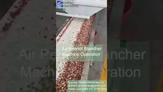Air Peanut Blancher Machine Operation, Air Peanut Peeling Machine Suppliers in China #Shorts