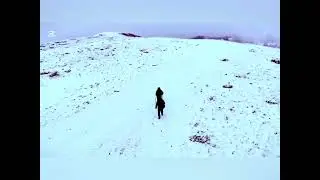 Iarna noastră                                           Claudia Șerdan&Jimi  EL Laco