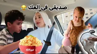 قضوا معايا نهايه الأسبوع |ديالا والقط | حمله نضافه ✨ VLOG 126
