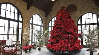 Meadow Brook Hall Holiday Walk 2019