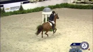 Hunter Holloway and I Love Lucy win the WIHS High Jr/A-O Jumper