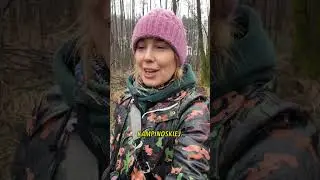Puszcza Kampinoska | Kładka Zaborowska | Rozlewisko | Przyroda | Joanna Kowalczyk-Bednarczyk