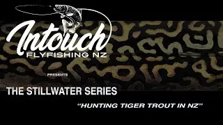 TIGER TROUT IN NEW ZEALAND