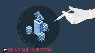 BLIND SQLi OVERVIEW || HOW TO FIND BLIND SQLi