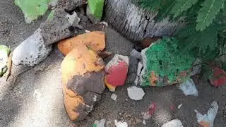 Dragons Bay, tucked away in Grenada, and yes JAH does know the reason why!