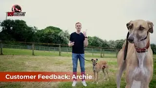 Addressing Dog Reactivity at K9 Security Ireland | 4 weeks of training