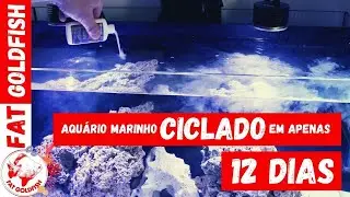 COMO CICLEI MEU AQUARIO MARINHO EM APENAS 12 DIAS