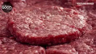 Clean Meat